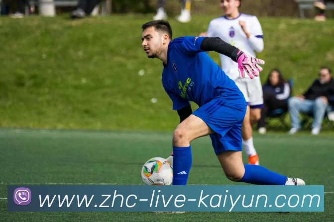 开云平台生态图